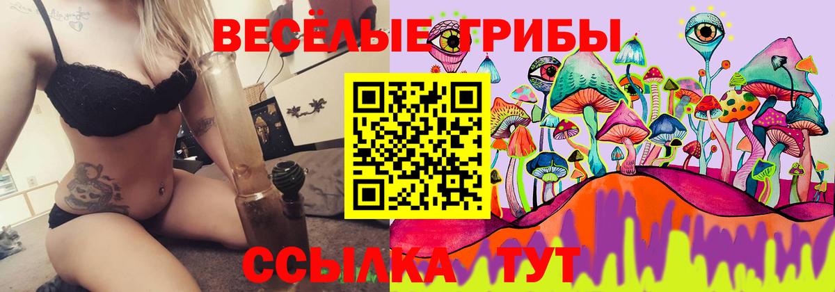 Галлюциногенные грибы GOLDEN TEACHER  Псилоцибиновые грибы MAGIC MUSHROOMS  Воронеж  Вход с VPN 